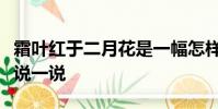 霜葉紅于二月花是一幅怎樣的畫面用自己的話說一說