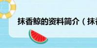 抹香鯨的資料簡介(抹香鯨的資料)