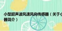 小型超聲波風速風向傳感器(關于小型超聲波風速風向傳感器簡介)