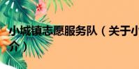 小城鎮志愿服務隊(關于小城鎮志愿服務隊簡介)