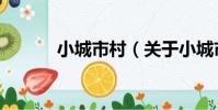 小城市村(關于小城市村簡介)