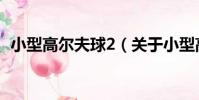 小型高爾夫球2(關于小型高爾夫球2簡介)