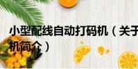 小型配線自動打碼機(關于小型配線自動打碼機簡介)