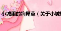 小城里的狗尾草(關于小城里的狗尾草簡介)