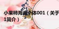小果柿海南個體001(關于小果柿海南個體001簡介)