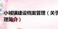 小城鎮建設檔案管理(關于小城鎮建設檔案管理簡介)