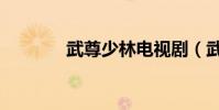 武尊少林電視劇(武尊少林)