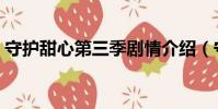 守護甜心第三季劇情介紹(守護甜心第三季)