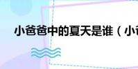 小爸爸中的夏天是誰(小爸爸中的夏天)