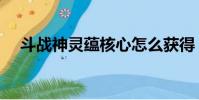 斗戰神靈蘊核心怎么獲得(斗戰神靈蘊)
