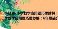小桔豆·小學數學應用題巧思妙解:6年級(關于小桔豆·小學數學應用題巧思妙解:6年級簡介)
