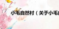 小毛自然村(關于小毛自然村簡介)