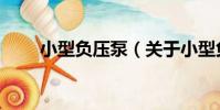 小型負壓泵(關于小型負壓泵簡介)