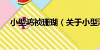 小型鴻禎珊瑚(關于小型鴻禎珊瑚簡介)