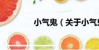 小氣鬼(關于小氣鬼簡介)