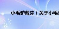小毛驢戴芬(關于小毛驢戴芬簡介)
