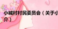 小城村村民委員會(關于小城村村民委員會簡介)