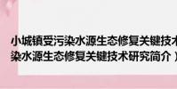 小城鎮受污染水源生態修復關鍵技術研究(關于小城鎮受污染水源生態修復關鍵技術研究簡介)