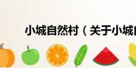 小城自然村(關于小城自然村簡介)