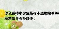 怎么看待小學生拔標本鹿角給爺爺補身體?(小學生拔標本鹿角給爺爺補身體)