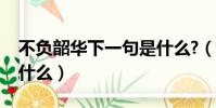 不負韶華下一句是什么?(不負韶華下一句是什么)