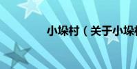 小垛村(關于小垛村簡介)