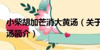 小柴胡加芒消大黃湯(關于小柴胡加芒消大黃湯簡介)