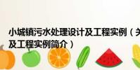 小城鎮污水處理設計及工程實例(關于小城鎮污水處理設計及工程實例簡介)