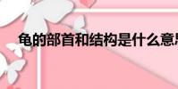 龜的部首和結構是什么意思(龜的部首)