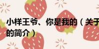 小樣王爺、你是我的(關于小樣王爺、你是我的簡介)