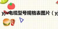 yjv電纜型號規格表圖片(yjv電纜型號規格)