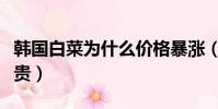 韓國白菜為什么價格暴漲(韓國大媽吐槽白菜貴)