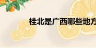 桂北是廣西哪些地方(桂北)