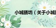 小城膳坊(關于小城膳坊簡介)