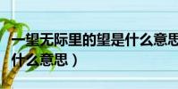 一望無際里的望是什么意思(一望無際的望是什么意思)