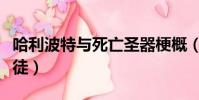 哈利波特與死亡圣器梗概(哈利波特與死亡圣徒)