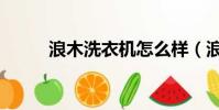 浪木洗衣機怎么樣(浪木洗衣機)