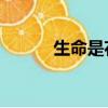 生命是花,悲觀者說（悲觀者說）