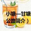 小塘—甘塘高速公路（關于小塘—甘塘高速公路簡介）