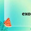 exo的kai是誰（exokai）