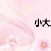 小大人（關于小大人簡介）