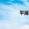 平湖樂（關于平湖樂介紹）