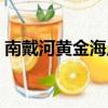 南戴河黃金海岸旅游攻略（南戴河黃金海岸）