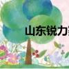 山東銳力賽車俱樂部（賽車俱樂部）