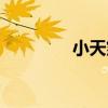 小天煞（關于小天煞簡介）