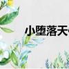 小墮落天使（關于小墮落天使簡介）