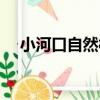 小河口自然村（關于小河口自然村簡介）