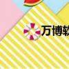 萬博軟件是什么（萬博軟件）