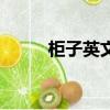 柜子英文單詞怎么寫（柜子英文）
