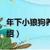 年下小狼狗養成記（關于年下小狼狗養成記介紹）